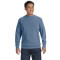 Adult Crewneck Sweatshirt
