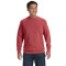 Adult Crewneck Sweatshirt