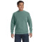 Adult Crewneck Sweatshirt