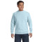 Adult Crewneck Sweatshirt