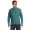 Adult Crewneck Sweatshirt