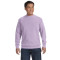 Adult Crewneck Sweatshirt