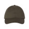 Adult Bio-Washed Classic Dad Hat