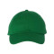 Adult Bio-Washed Classic Dad Hat