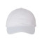 Adult Bio-Washed Classic Dad Hat