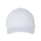 Small Fit Bio-Washed Dad Hat