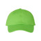 Adult Bio-Washed Classic Dad Hat