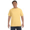 Adult Heavyweight T-Shirt