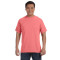 Adult Heavyweight T-Shirt