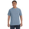 Adult Heavyweight T-Shirt