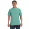 Adult Heavyweight T-Shirt