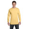 Adult Heavyweight RS Long-Sleeve T-Shirt