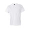 Softstyle® Lightweight T-Shirt
