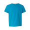 Softstyle® Youth T-Shirt
