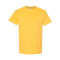 Heavy Cotton™ T-Shirt