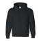 DryBlend® Hooded Sweatshirt