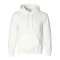 DryBlend® Hooded Sweatshirt