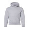 Heavy Blend™ Youth Hooded Sweatshirt