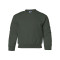 Heavy Blend™ Youth Sweatshirt