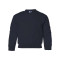 Heavy Blend™ Youth Sweatshirt