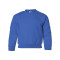 Heavy Blend™ Youth Sweatshirt