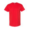 Heavy Cotton™ T-Shirt