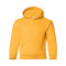 Heavy Blend™ Youth Hooded Sweatshirt