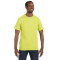 Adult DRI-POWER® ACTIVE T-Shirt