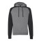 Raglan Hooded Sweatshirt