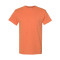 Heavy Cotton™ T-Shirt