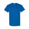 Heavy Cotton™ T-Shirt