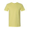 Softstyle® T-Shirt