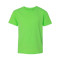 Heavy Cotton™ Youth T-Shirt