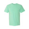 Garment-Dyed Heavyweight T-Shirt