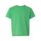 Softstyle® Youth T-Shirt