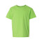 Softstyle® Youth T-Shirt