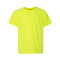 Softstyle® Youth T-Shirt