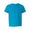 Softstyle® Youth T-Shirt