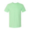 Softstyle® T-Shirt