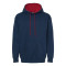 Two-Tone Hooded Sweatshirt