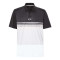Color Block Take Polo