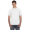Adult Softstyle T-Shirt