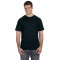 Adult Softstyle T-Shirt
