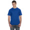 Adult Softstyle T-Shirt