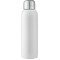 Guzzle 28oz Stainless Sports Bottle