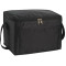 Spectrum Budget 6-Can Lunch Cooler