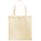 Small Zeus Non-Woven Convention Tote