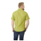 Men's COLTER Short Sleeve Shirt