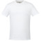 tentree Organic Cotton Short Sleeve Tee - Men's