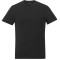 tentree Organic Cotton Short Sleeve Tee - Men's